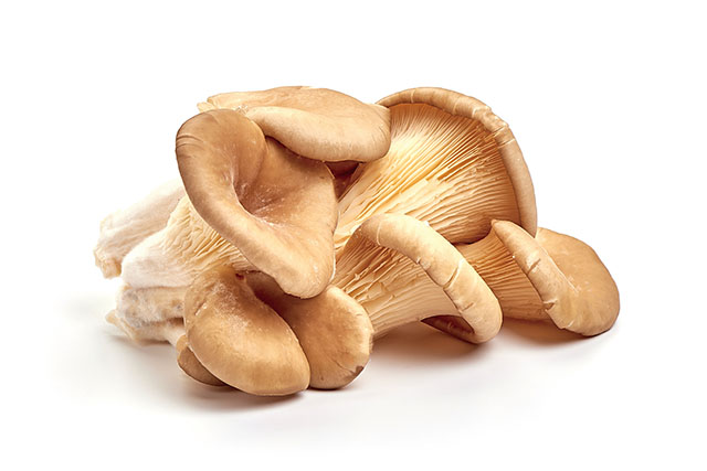秀珍菇為側耳科的菇類，特點為菌蓋的部位呈現貝殼扇狀，菇柄側生。