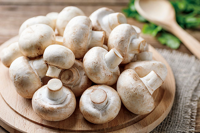 白蘑菇在台灣最為常見，外表像極了一顆顆白色鈕扣。