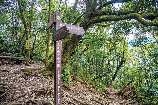 岔路口有指示往北大武山登山口，另一條路是往日湯真山的步道。