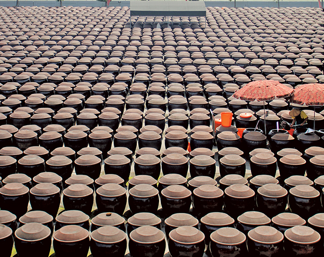 瑞春擁有全台最大黑豆醬油釀造場地，共有2,500只陶缸，每只陶缸上覆蓋17公斤陶蓋。瑞春醬油提供