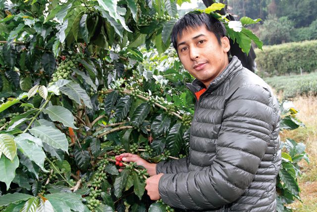 鄒族青年方政倫培育出「冠軍咖啡豆」，因而有「咖啡王子」的稱號。
