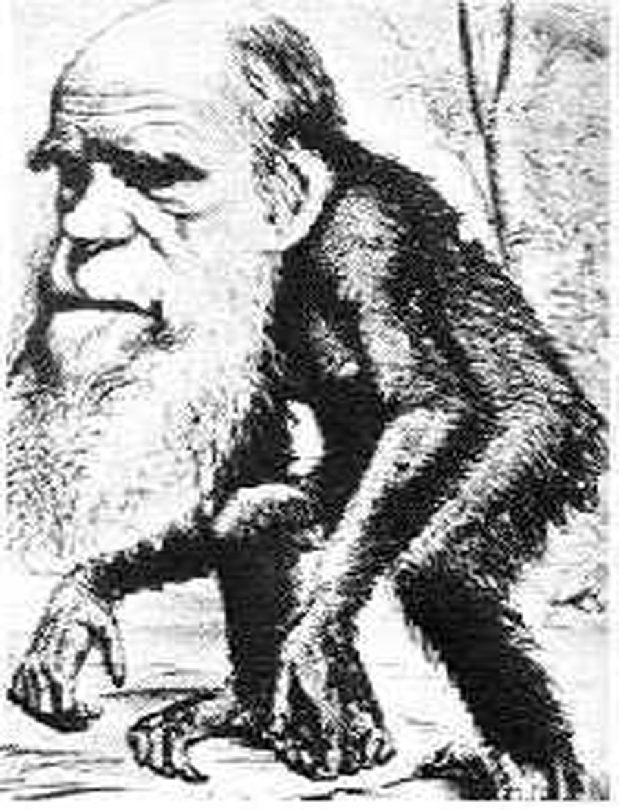 達爾文的猴子變人理論只是假設。