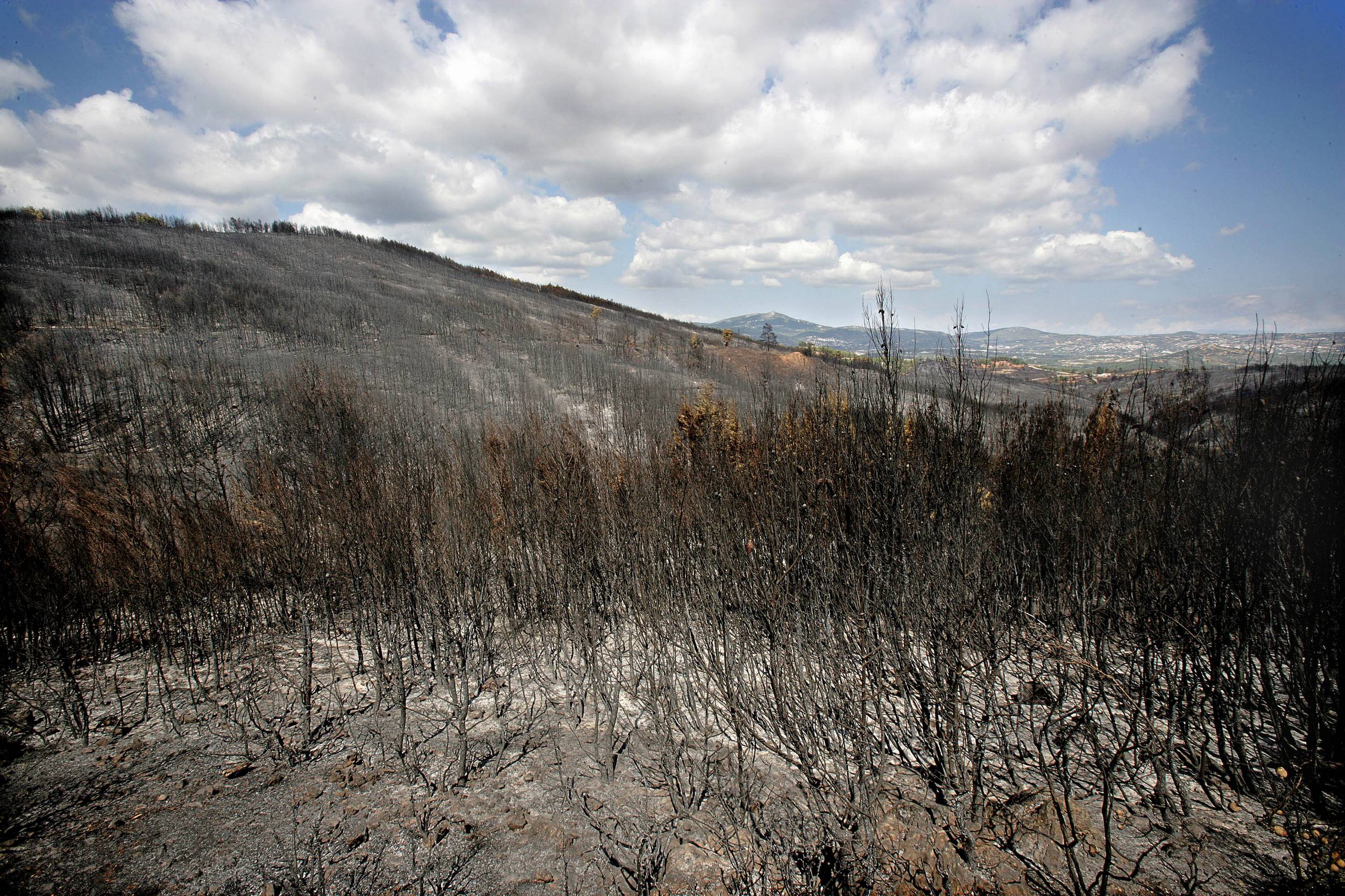 希臘森林大火所經之處，山林全毀，火勢持續1個月還難以撲滅。
