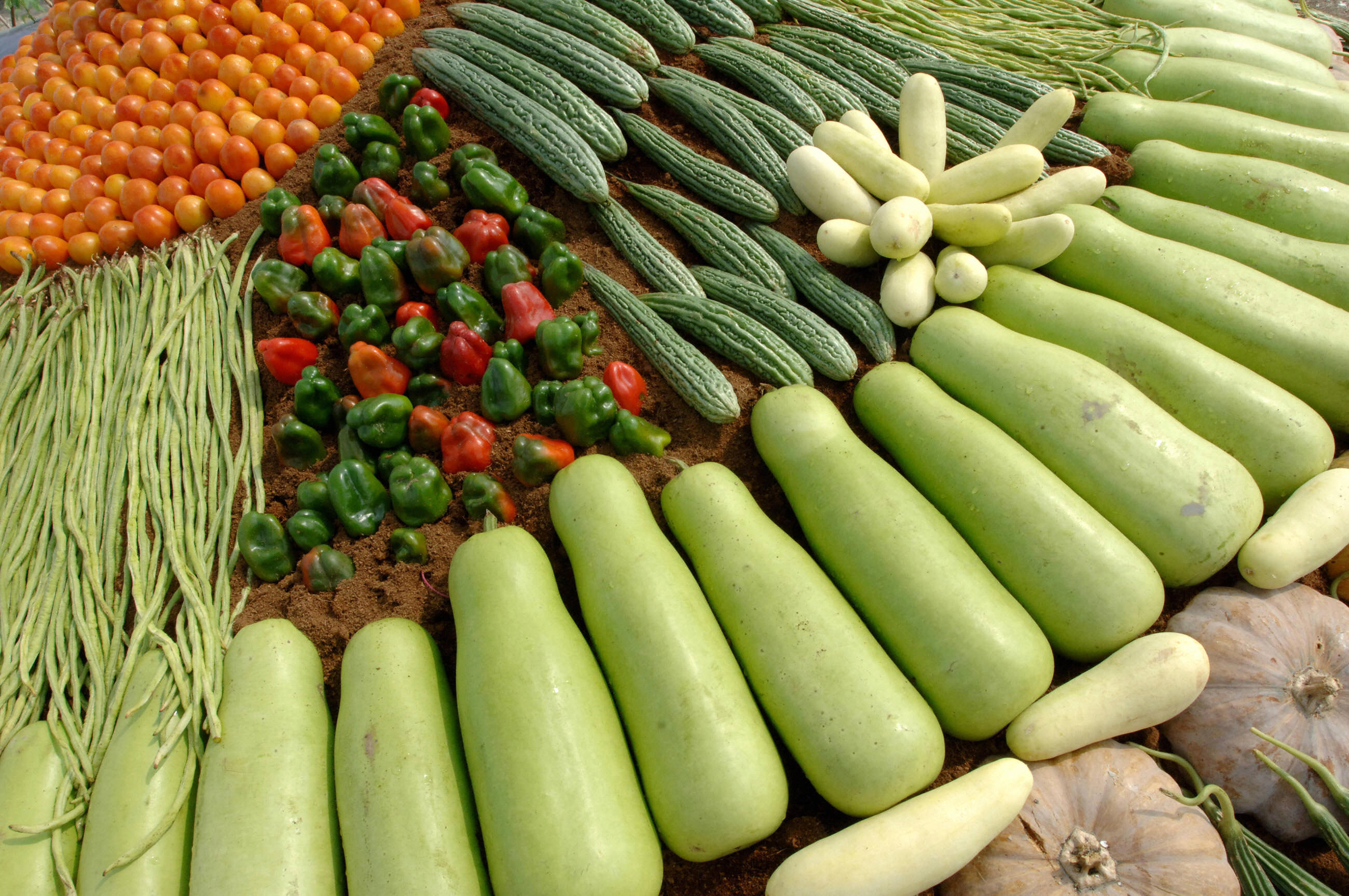 為了健康，為了地球，偶爾也該吃吃好蔬菜。