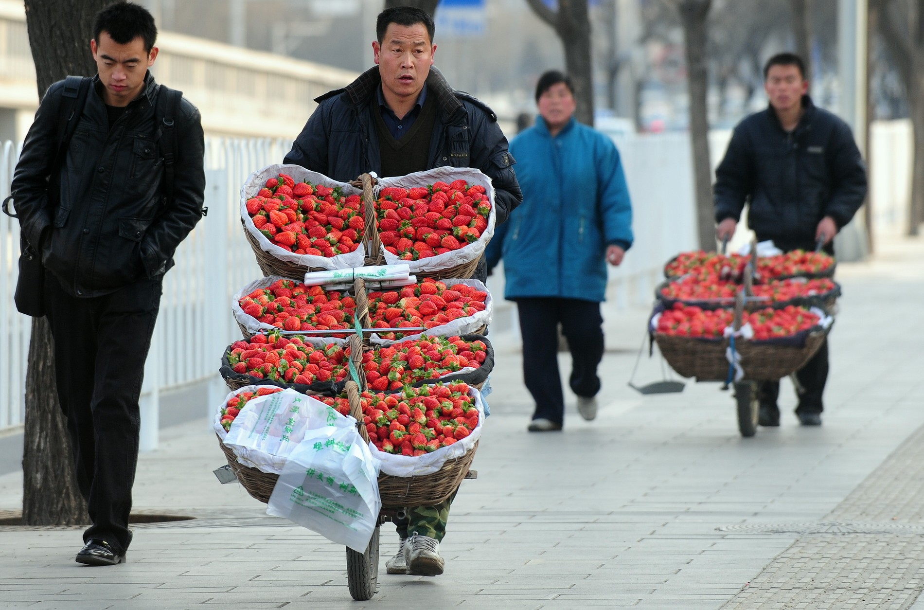 專家預言，中國過去30多年平均10%的成長率可能會下降到5%，甚至更低的正常水平。圖為2月2日，賣草莓的農民們在北京一條街上推車走著。