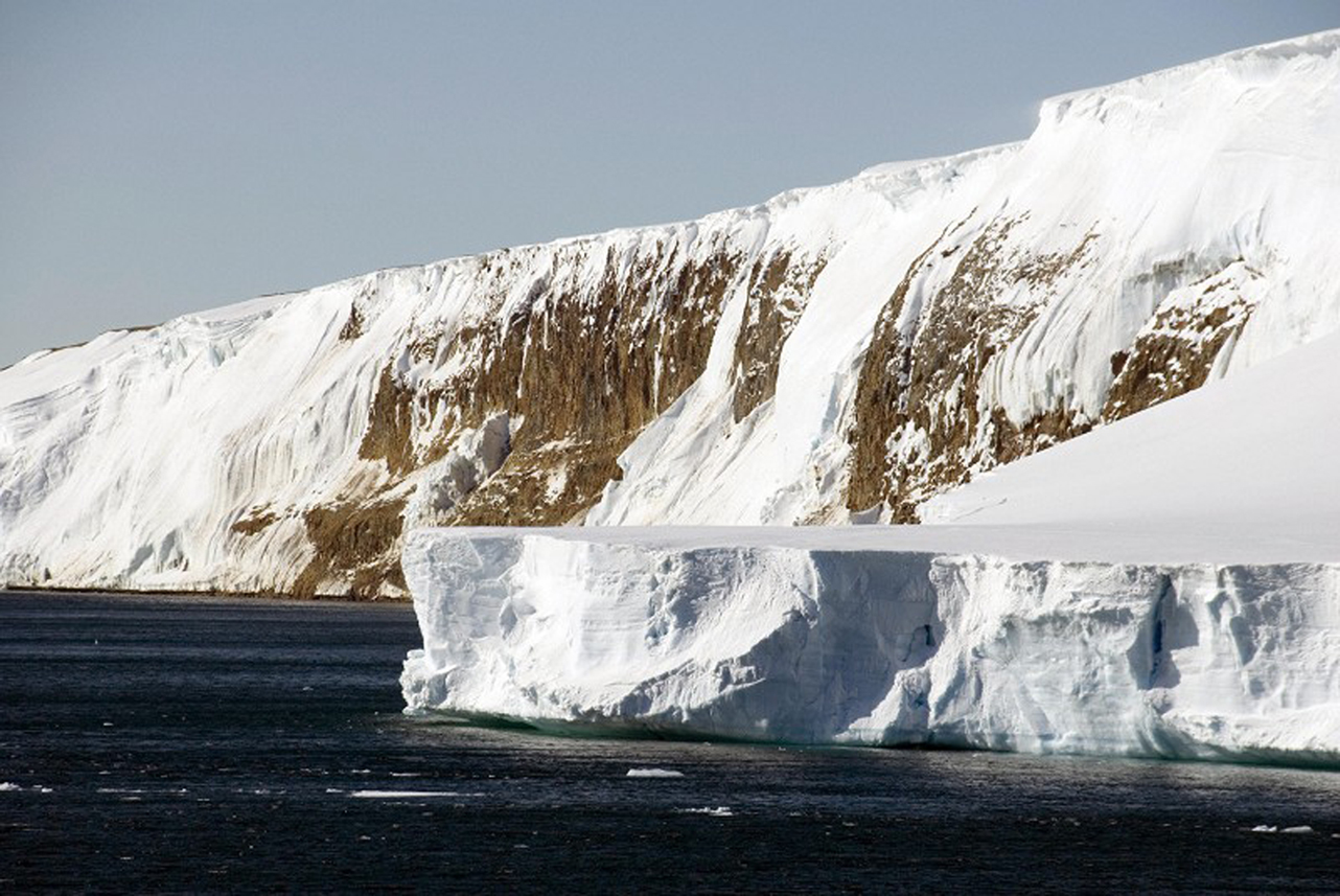 氣候暖化不僅加速南極冰山的融化，海洋酸化也威脅海洋物種的生存。