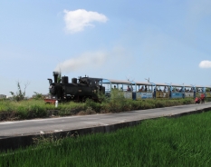 彩繪蒸氣小火車滿載遊客奔馳田野。