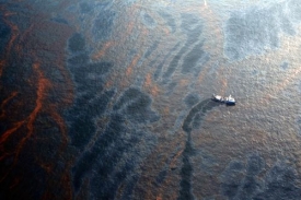 2010十大國際事件: 3.  災》生態史上之「罪」墨灣大漏油