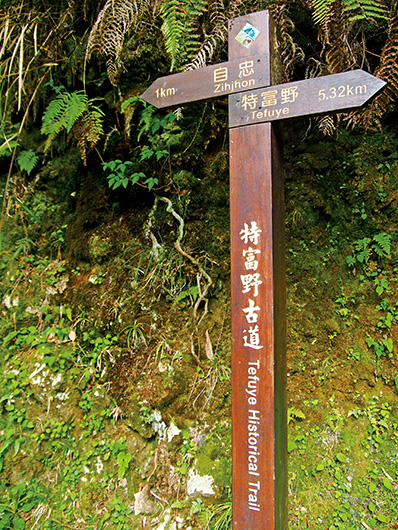 特富野古道有兩個入口，分別是自忠與特富野。