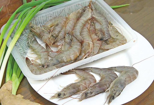 綠旺酵素蝦，採天然無抗生素養殖。