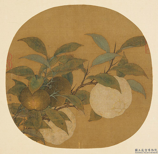 宋‧林椿，〈橙黃橘綠〉，紈扇畫冊，23.8×24.3公分。