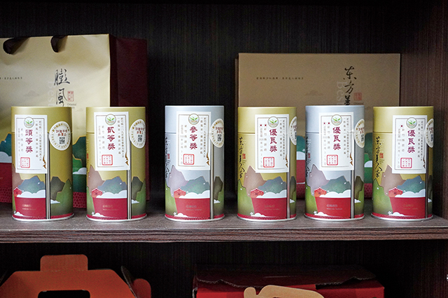 新竹縣東方美人茶評鑑比賽，峨眉茶農是常勝軍。謝平平攝影