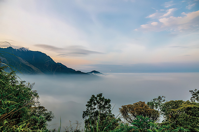 雲海實在太美，高度其實只有一千公尺左右。