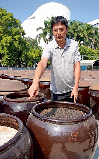 總經理鍾政衛檢查陶缸中的黑豆，準備加鹽封缸，進行約120日的曝晒，之後即可獲得醬油原汁。謝平平攝影