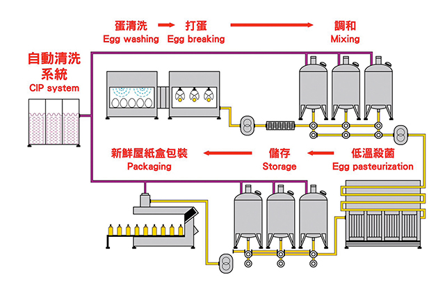 液蛋製作流程示意圖。勤億提供