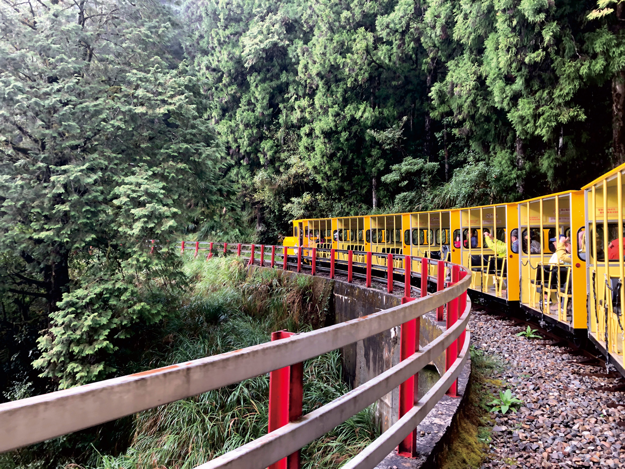 蹦蹦車從太平山車站鳴笛出發，穿梭於峭壁、巨木、懸崖、鐵橋間。