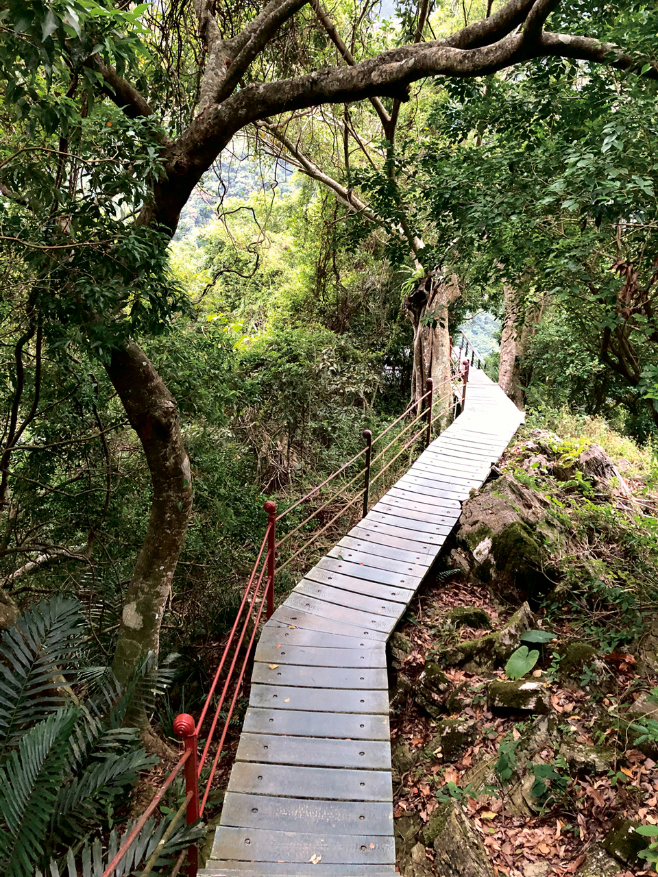 數月前，探勘得卡倫步道，為探訪大禮、大同部落做準備。