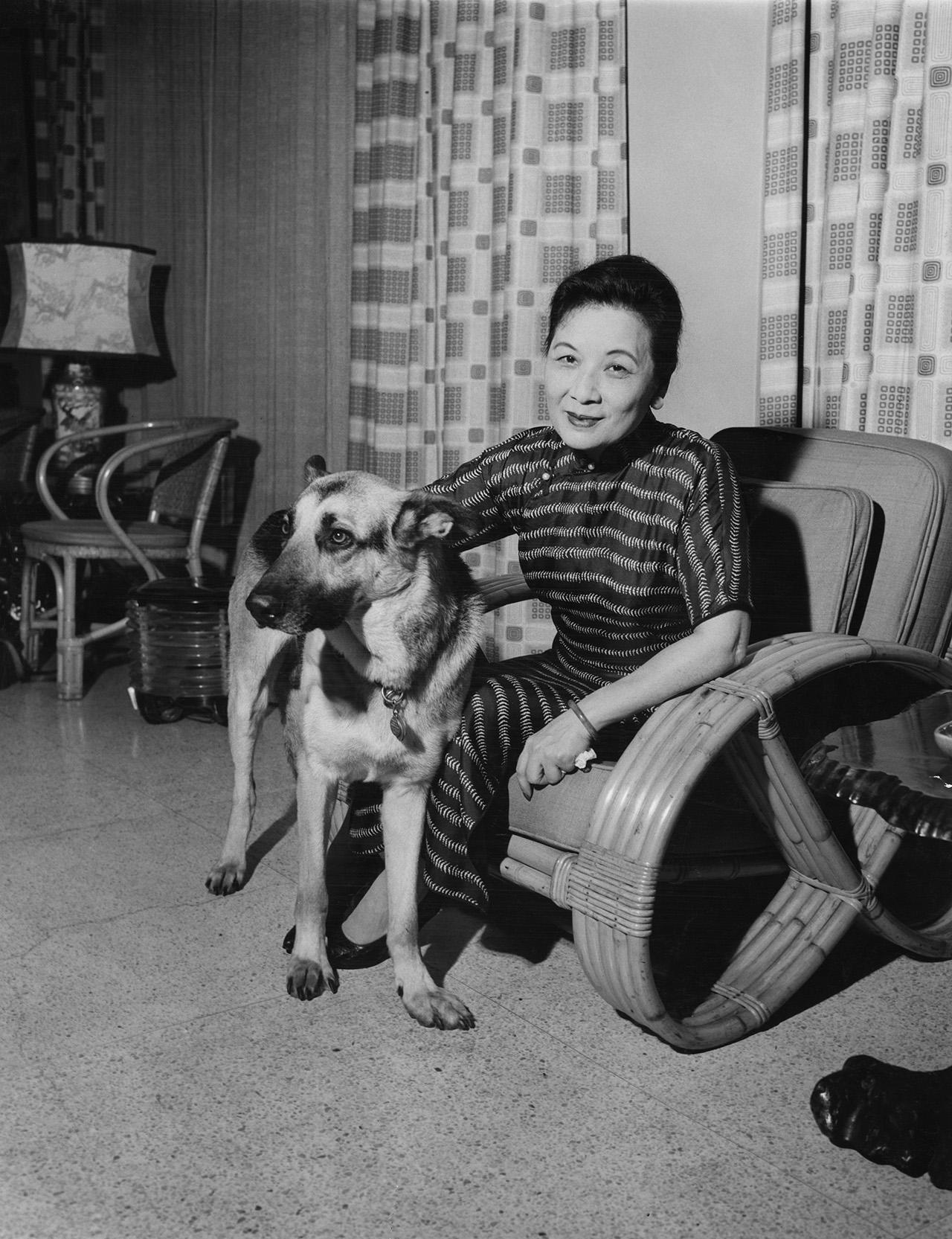 1965年左右，蔣夫人宋美齡在士林官邸家中，坐在竹椅上，身邊陪伴著她的寵物狗。Getty Images