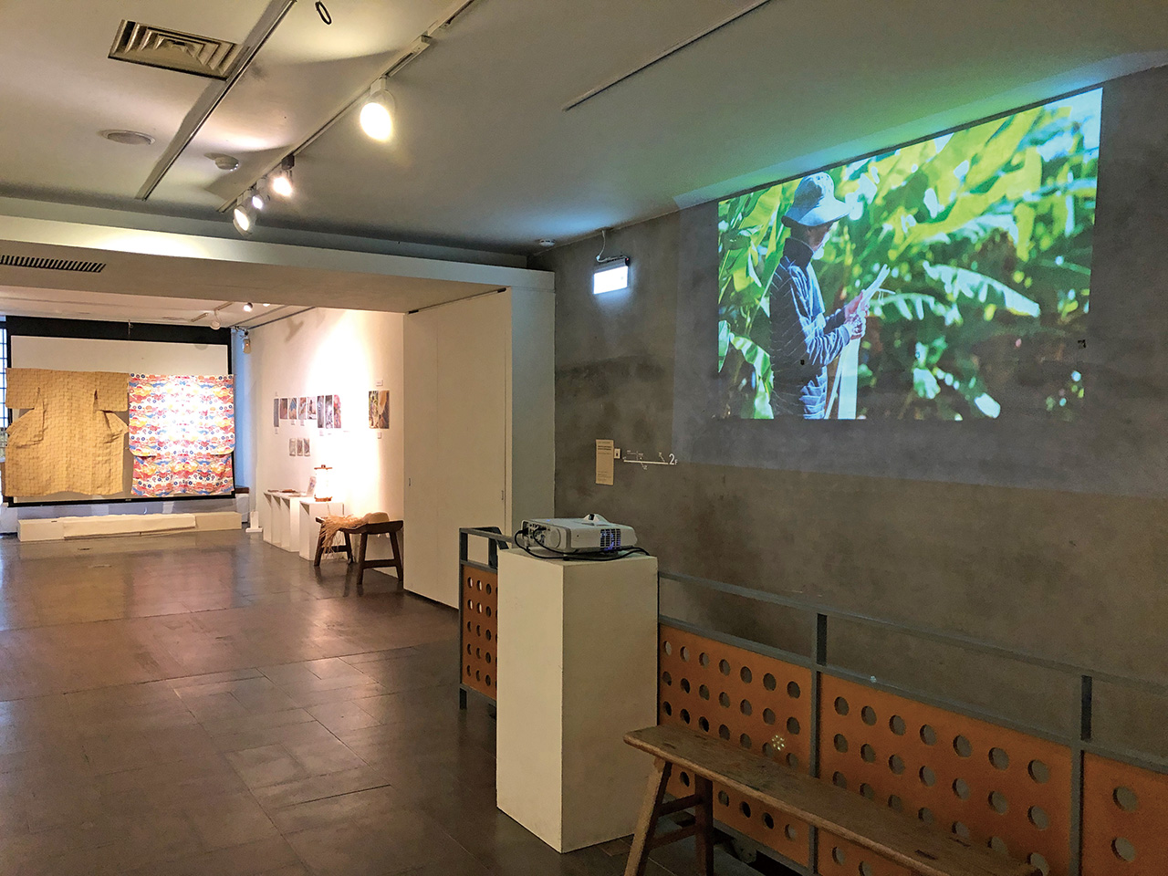 野芭蕉的形狀在燦爛陽光下舒展，觸動大地與人的聯繫。