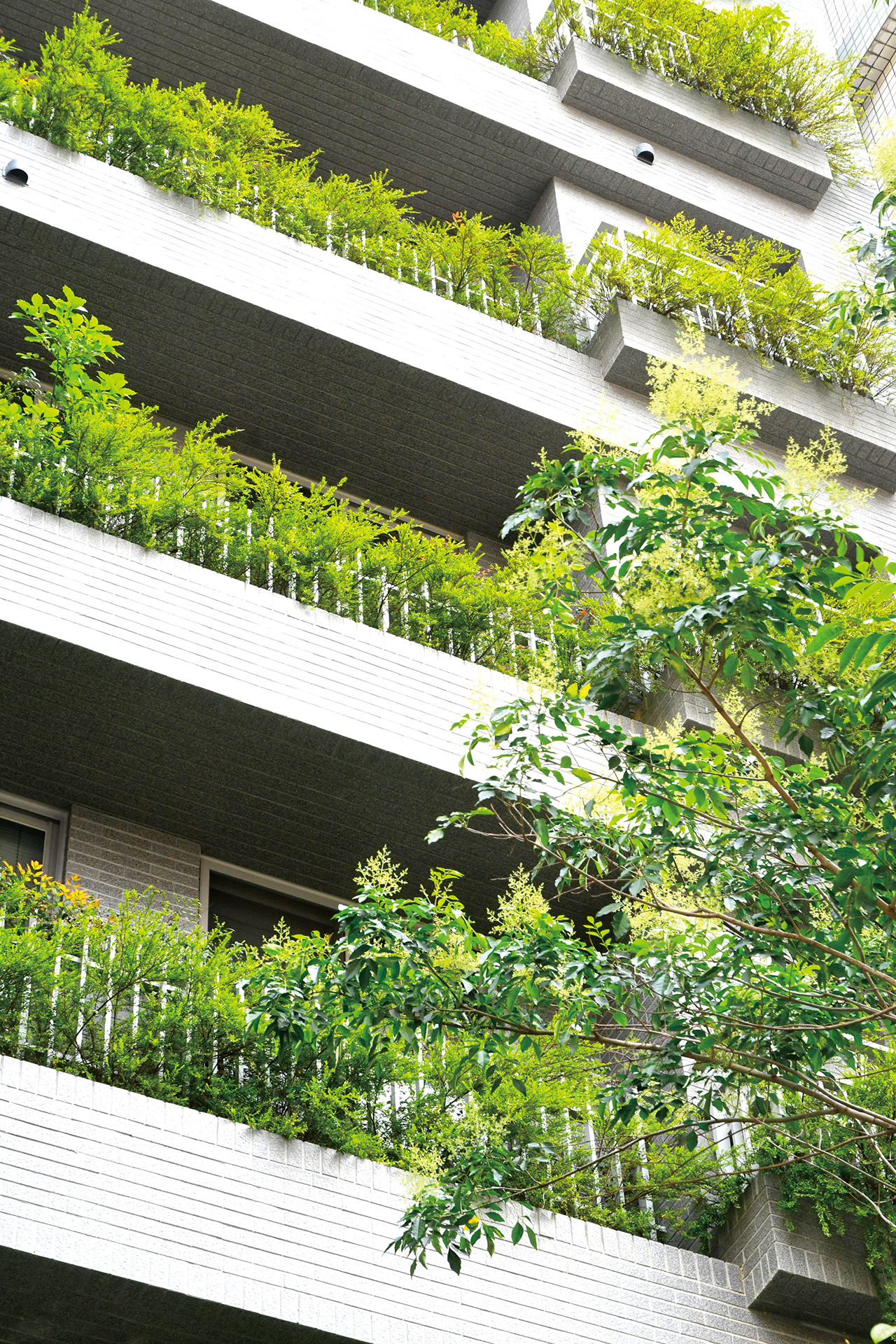寶樺建設社區植栽分有高、中、低，中層植栽穿透格柵，增加建築立面的豐富。