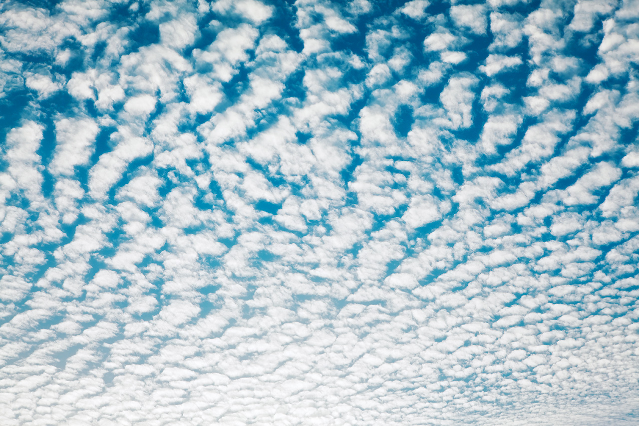 雲的形貌千變萬化。圖為布滿天空的「高積雲」。