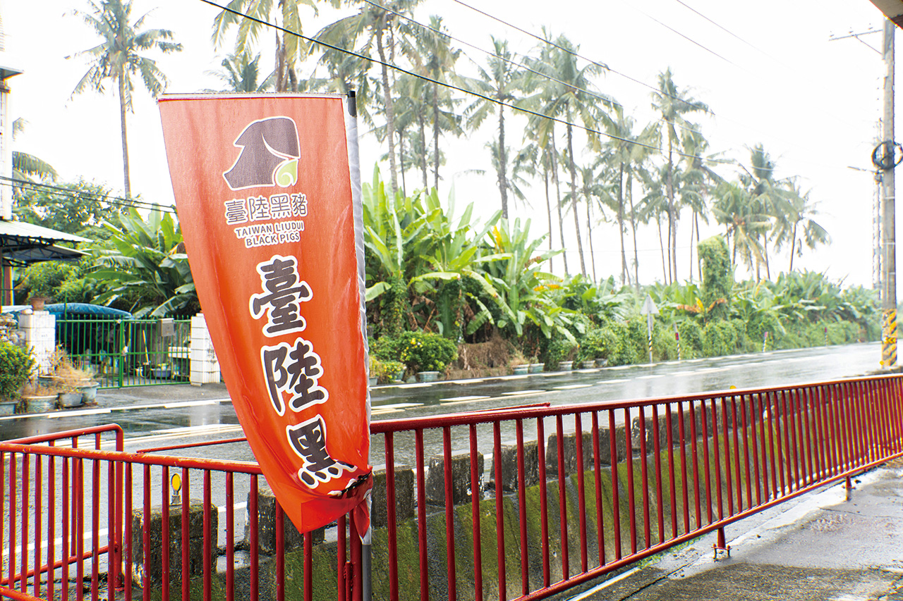 「臺陸黑豬」在屏東店面，前往須先預約。謝平平攝影