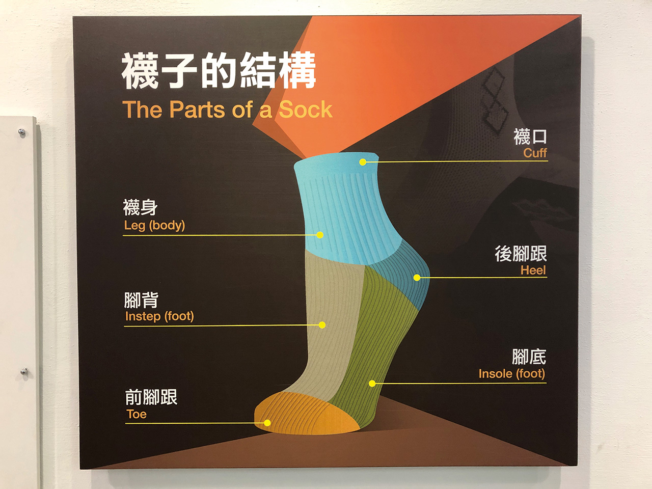 雙腳是人的第二個心臟,襪子是腳的第二層皮膚。