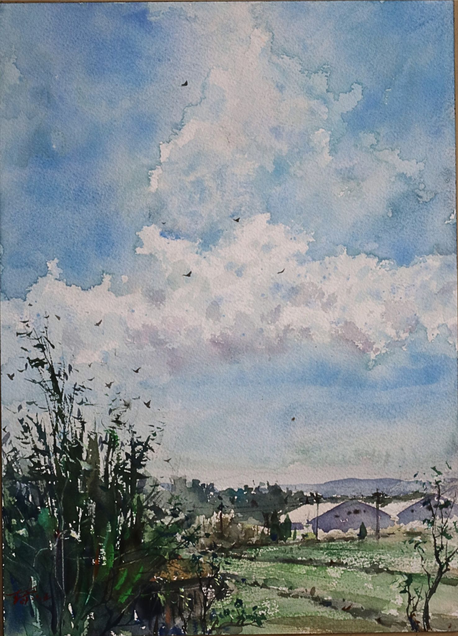3