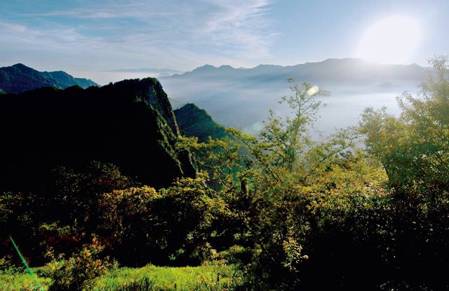 八八风灾三年后，阿里山地区渐渐地走出阴霾。图为阿里山日出。Getty Images