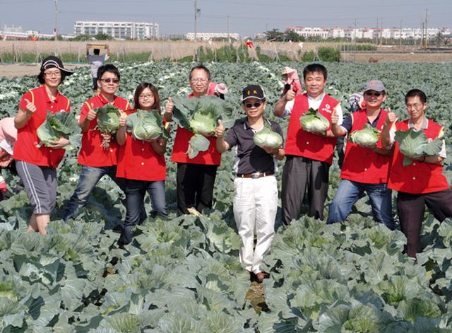 曾见占推动产地直采。图为曾见占与台糖量贩各店人员于高丽菜产地。李唐峰摄影