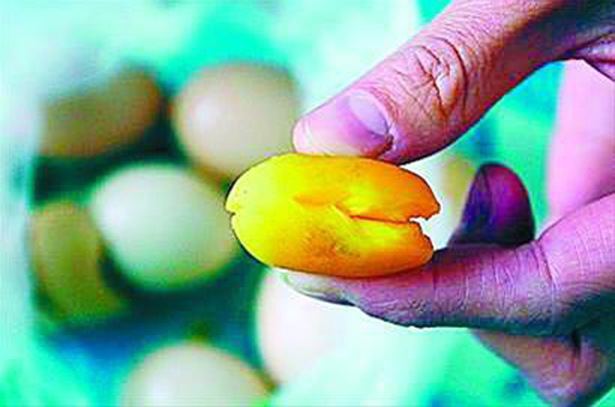 煮熟后蛋黄有弹性的假蛋。
