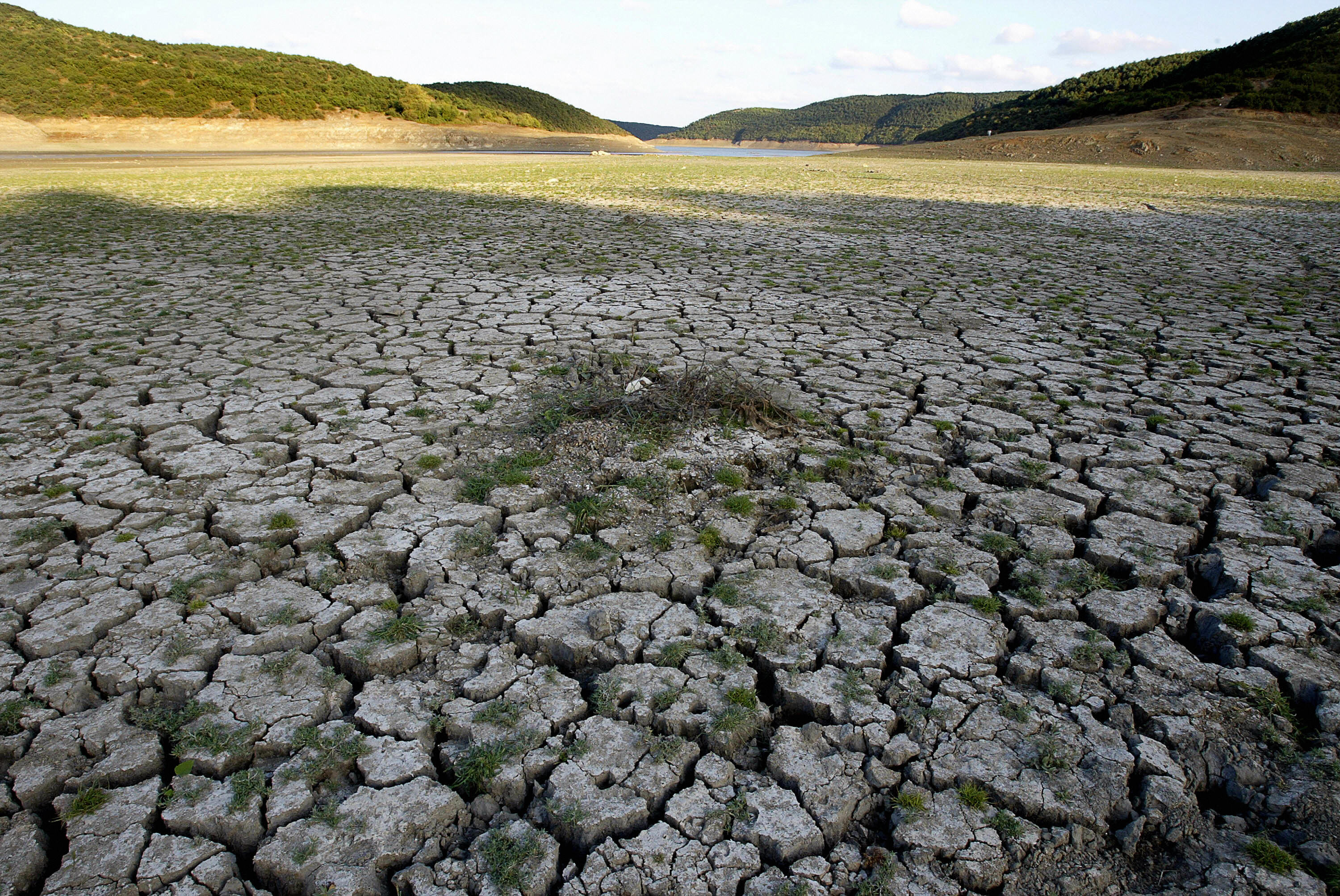 全球陸地氣溫 去年創史上第一高