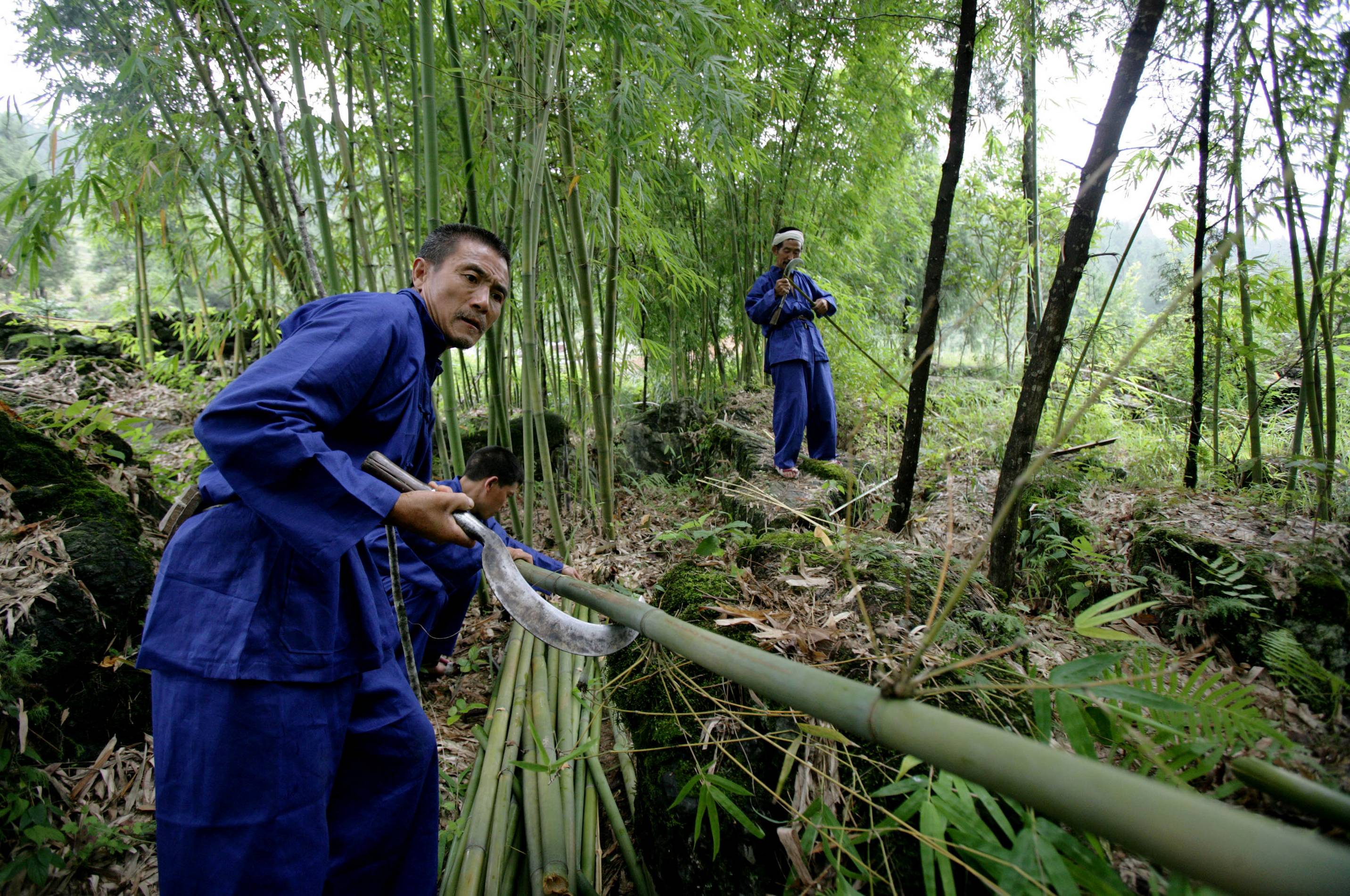 台湾技术团将中华民族的竹艺带进危地马拉。