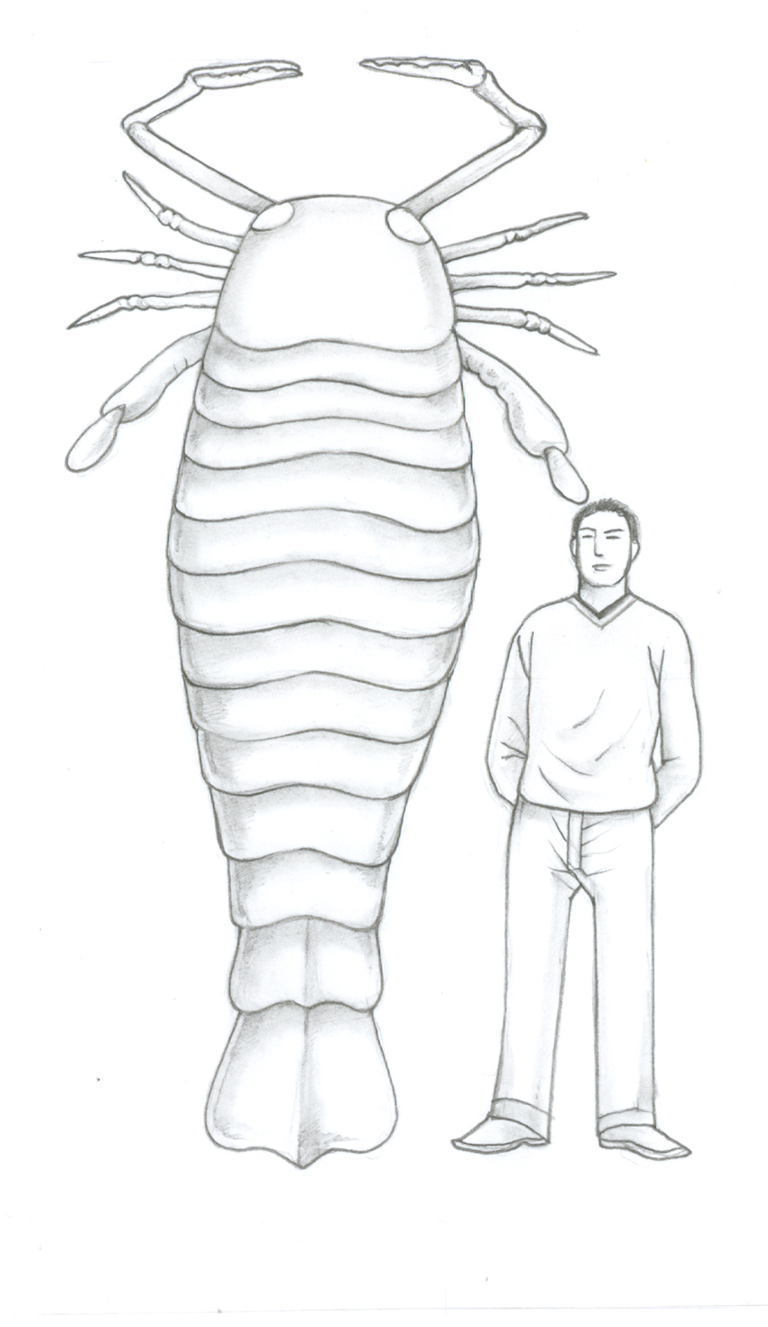 从近年来 史前巨型生物陆续出土谈起