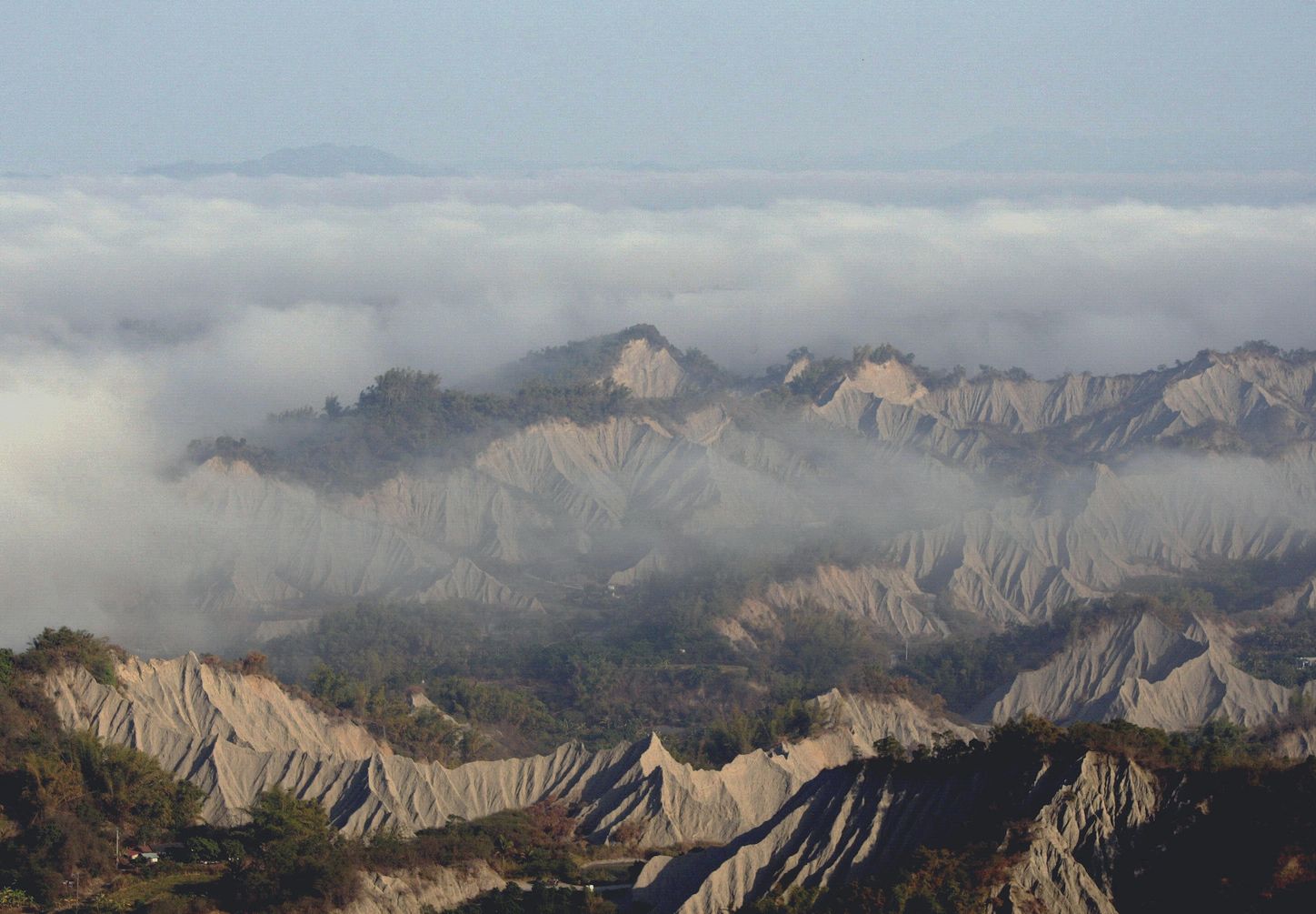 308高地赏云海 远眺草山月世界