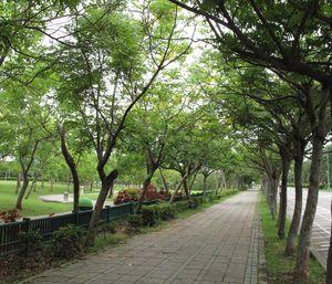 在台中都會公園遇上悠閒