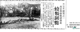 神祕的「龍」，是虛幻還是真實？