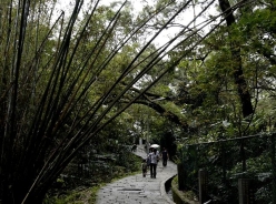 桐花公園──靜謐中找回童趣