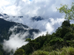 雲霧飄然而下籠罩山林。