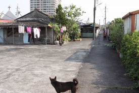 生活單純、溫和的老舊眷村，正走在屬於它們的歷史道路上，並走出自身的生命力。