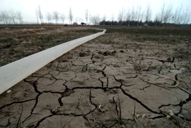 中國北方大旱 全球糧價上漲